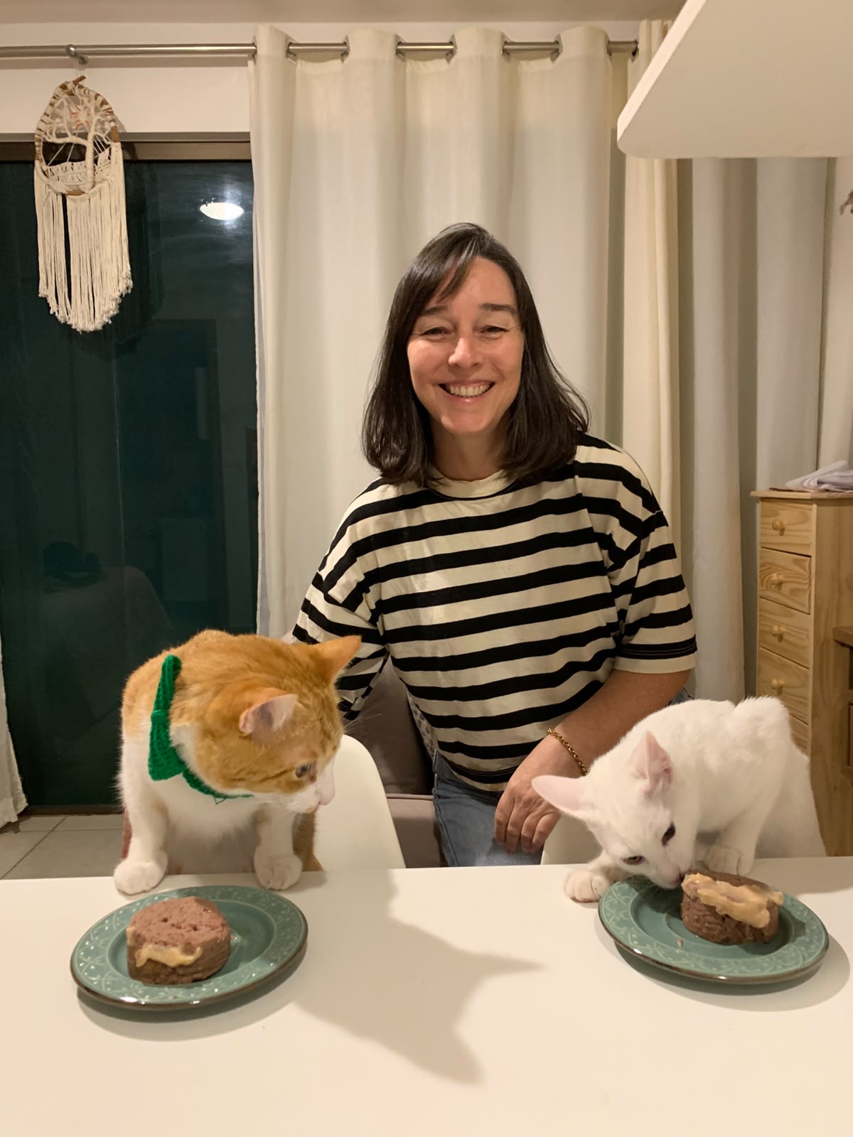 PetSitAgenda